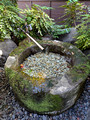 Ikedayama Park, Shinagawa City, Tokyo, Japan 24-12L-_3694