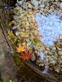 Ikedayama Park, Shinagawa City, Tokyo, Japan 24-12L-_3696