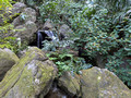 Ikedayama Park, Shinagawa City, Tokyo, Japan 24-12p-_1645