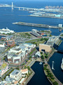 View From Yokohama Landmark Tower 25-5L-_3109