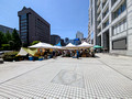 United Nations University Farmers’ Market Tokyo Japan 25-5P-_1092