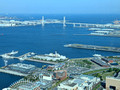 View From Yokohama Landmark Tower 25-5P-_1190