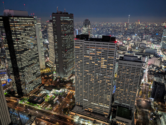 Tokyo Metropolitan Government Building  Shinjuku City, Tokyo, Japan 22-12L-_3719