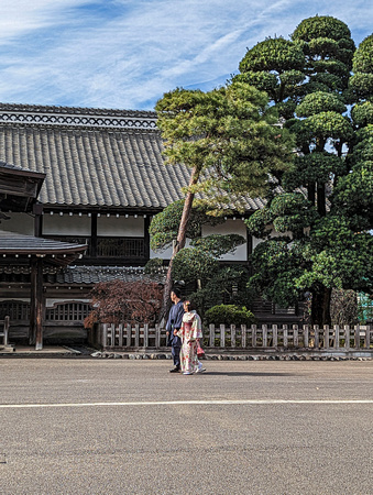 Kawagoe Castle Honmaru Palace Kawagoe Saitama 22-12L-_4933