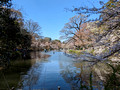 Inokashira Park Tokyo, Japan   23-3L-_5261