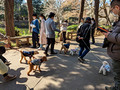 Inokashira Park Tokyo, Japan   23-3L-_5257