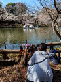 Inokashira Park Tokyo, Japan   23-3L-_5249