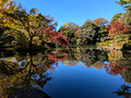 Arisugawa-no-miya Memorial Park, Minato City, Tokyo, Japan 24-12p-_1238