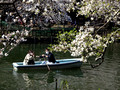 Inokashira Park Tokyo, Japan   23-3P-_2845