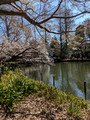 Inokashira Park Tokyo, Japan   23-3L-_5256