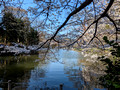 Inokashira Park Tokyo, Japan   23-3L-_5260