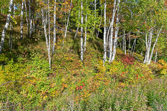 Black River Harbor 21-9-01206