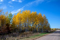 Crex Meadows Wildlife Area 21-11-02638