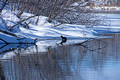 River Otter Ice Age Trail Hemlock Creek 21-3-00233