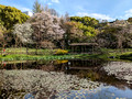 East Gardens of the Imperial Palace Tokyo Japan