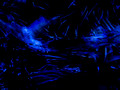 teamLab Borderless, MORI Building DIGITAL ART MUSEUM, Minato City, Tokyo, Japan 24-12p-_0734