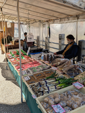 Miyagawa Morning Market Takayama, Japan 23-3L-_3804