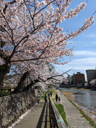 Higashiyamagashi Ryokuchi Park Kanazawa, Japan 23-3L-_3682