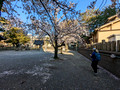 Hiraokano Shrine Kanazawa, Japan 23-3P-_0530