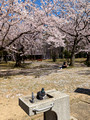 Tamagawa Park Kanazawa, Japan 23-3L-_3654