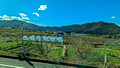 Apple Trees Nagano, Japan 22-12P-_5197