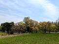 Mizumoto Park  Tokyo, Japan 23-3L-_3162