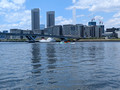 Harbor walk from Toyosu Station to Toyosu Market 25-5P-_1519