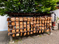 Kameido Tenjin Shrine Tokyo, Japan 25-5L-_2878