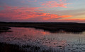 Crex Meadows in the fall