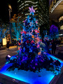 Hibiya Godzilla Square,Chiyoda City, Tokyo, Japan 24-12L-_3186