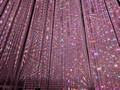 teamLab Borderless, MORI Building DIGITAL ART MUSEUM, Minato City, Tokyo, Japan 24-12p-_0753