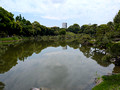 Kiyosumi Gardens, Tokyo, Japan 25-5L-_2896
