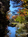 Arisugawa-no-miya Memorial Park, Minato City, Tokyo, Japan 24-12L-_3271