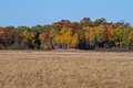 Crex Meadows Wildlife Area 21-10-02249