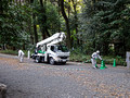 Meiji Jingu Shrine complex Tokyo 22-12P-_0931