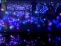 teamLab Borderless, MORI Building DIGITAL ART MUSEUM, Minato City, Tokyo, Japan 24-12p-_0740