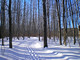 After Hours Ski Trails Wisconsin