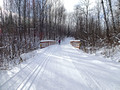 After Hours Ski Trails 17-12P-_0094a