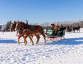 Northwoods Harness Club Sleigh and Cutter Rally Ashland 17-1-2308