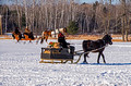 Northwoods Harness Club Sleigh and Cutter Rally Ashland 17-1-2267