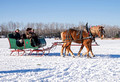 Northwoods Harness Club Sleigh and Cutter Rally Ashland 17-1-2285
