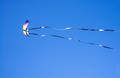 Kites on Ice Festival Buffalo Minnesota 20-2-01716