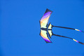 Kites on Ice Festival Buffalo Minnesota 20-2-01720