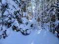 ABR Ski Trails