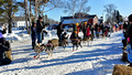 CopperDog 150 Sled Dog Race 20-2L-_0463