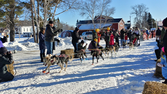 CopperDog 150 Sled Dog Race 20-2L-_0463