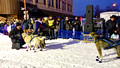 CopperDog 150 Sled Dog Race  2020 20-2L-_0560