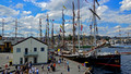 Tall Ships Races Stavanger  Norway 18-7L-_3688