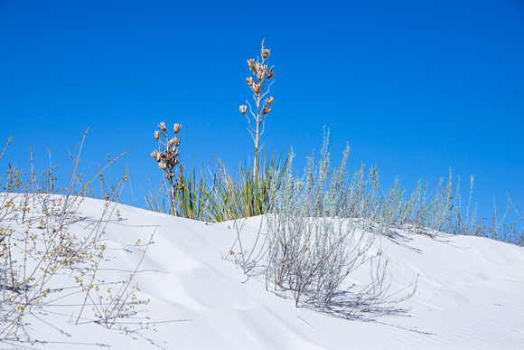 White Sands National Monument 18-4-00038