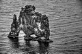 Hvítserkur Troll Seastack 16-6-_1489